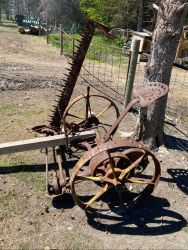 img 7635 433 350 250